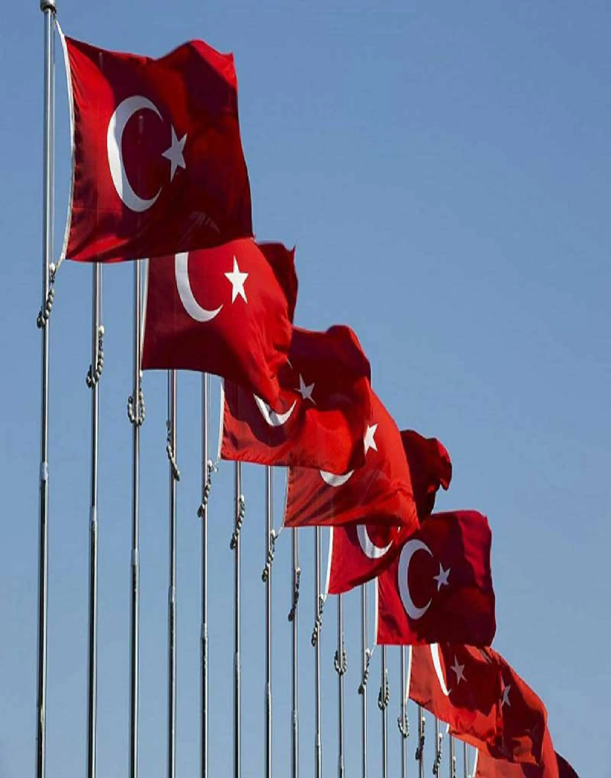 İzbayrak,izmir,bayrak,izbayrak,flama,Direk Bayrakları